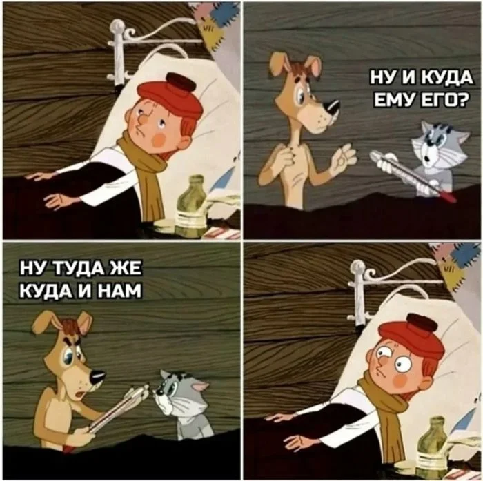 Мемы вторника: проверь IQ и узнай признаки пустышки мемы, юмор, картинки, приколы, IQ тест