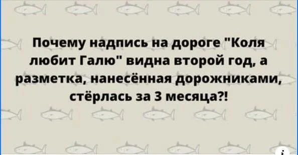 Мемы вторника: проверь IQ и узнай признаки пустышки мемы, юмор, картинки, приколы, IQ тест