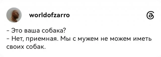 Мемы вторника: проверь IQ и узнай признаки пустышки мемы, юмор, картинки, приколы, IQ тест