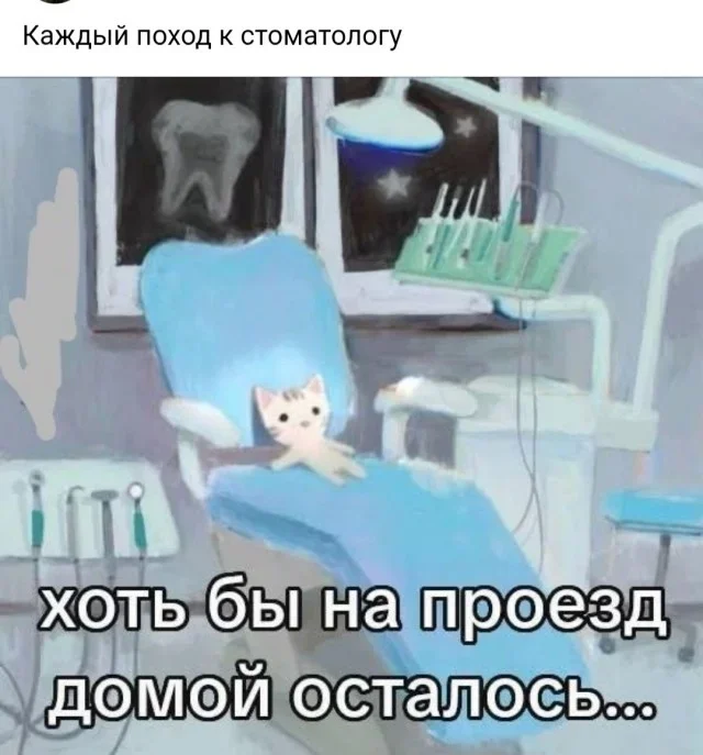 Мемы вторника: проверь IQ и узнай признаки пустышки мемы, юмор, картинки, приколы, IQ тест