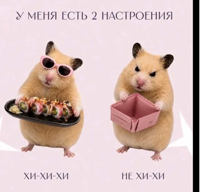 Мемы вторника: проверь IQ и узнай признаки пустышки мемы, юмор, картинки, приколы, IQ тест