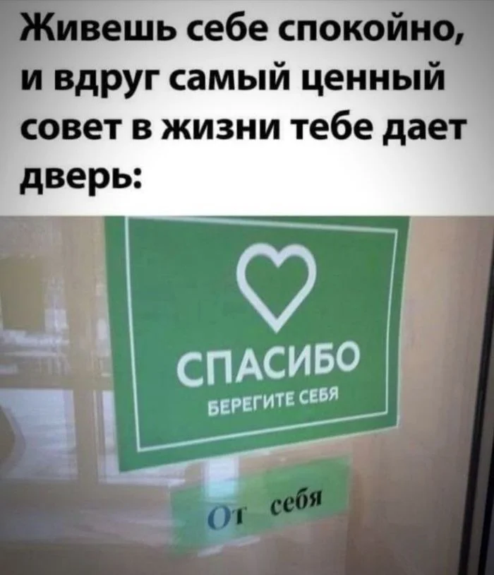 Мемы вторника: проверь IQ и узнай признаки пустышки мемы, юмор, картинки, приколы, IQ тест