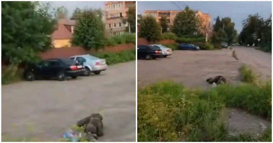 Странный объект в небе Подмосковья попал на видео беспилотник, дрон, Подмосковье, видео, НЛО, аномалия