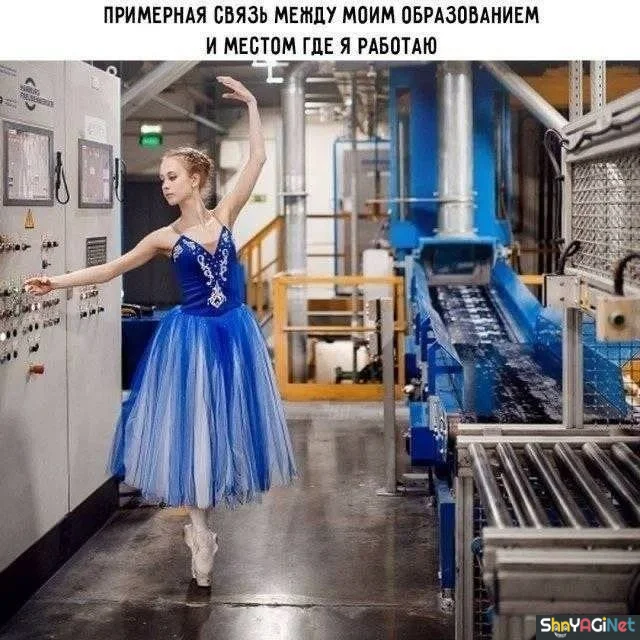 Когда на работе совсем не скучно: 20 доказательств
