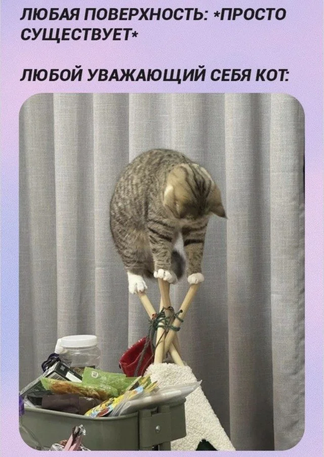 Мемы без темы: просто улыбнись! Мемы без темы: просто улыбнись! мемы, юмор, картинки, подборка, приколы