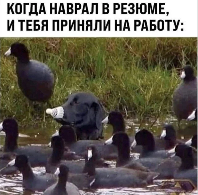 Мемы без темы: просто улыбнись! Мемы без темы: просто улыбнись! мемы, юмор, картинки, подборка, приколы
