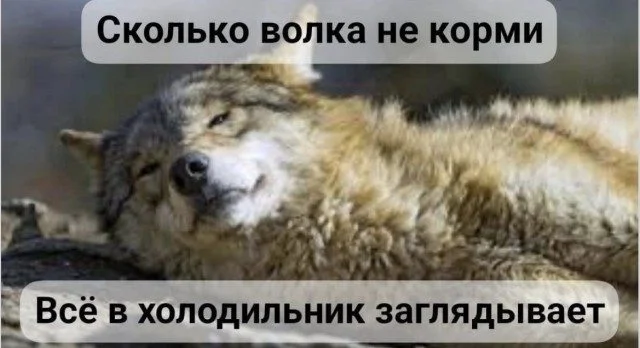 Мемы без темы: просто улыбнись! Мемы без темы: просто улыбнись! мемы, юмор, картинки, подборка, приколы