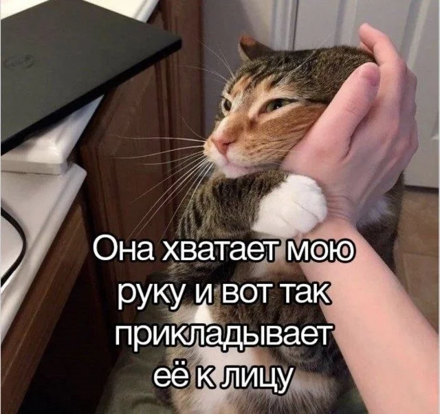 Мемы без темы: просто улыбнись! Мемы без темы: просто улыбнись! мемы, юмор, картинки, подборка, приколы