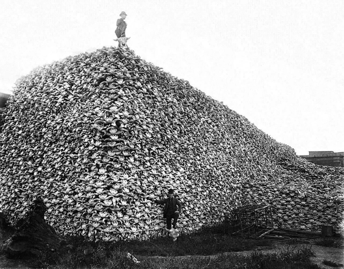 Кадры, от которых мурашки по коже история, фото, ретро, архив, знаменитости, винтаж
