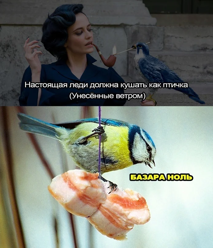 Пять минут смеха: заряжаемся позитивом! мемы, юмор, картинки, позитив, смех