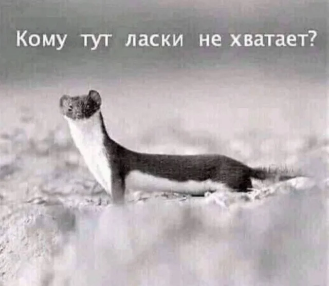Улыбнись! Маленькая пятница пришла Улыбнись! Маленькая пятница пришла мемы, юмор, картинки, позитив, маленькая пятница