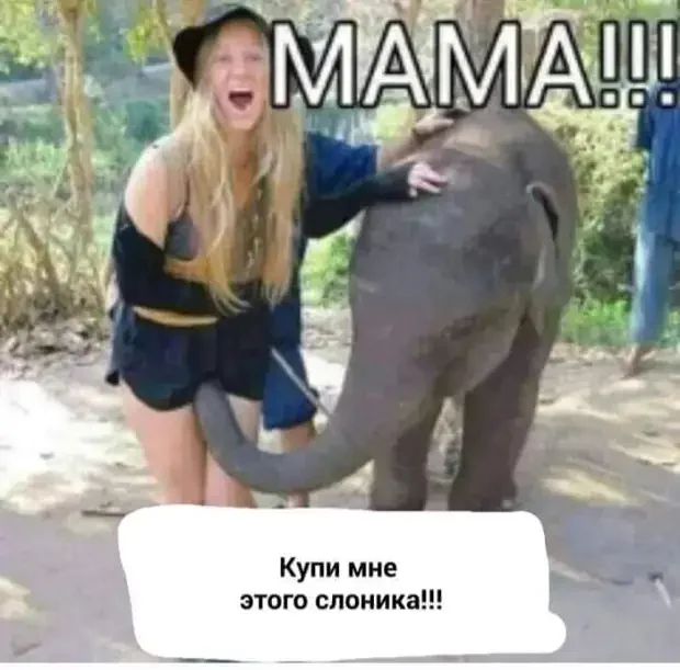 Анекдоты, после которых невозможно удержаться от смеха анекдоты, юмор, шутки, приколы, смешное