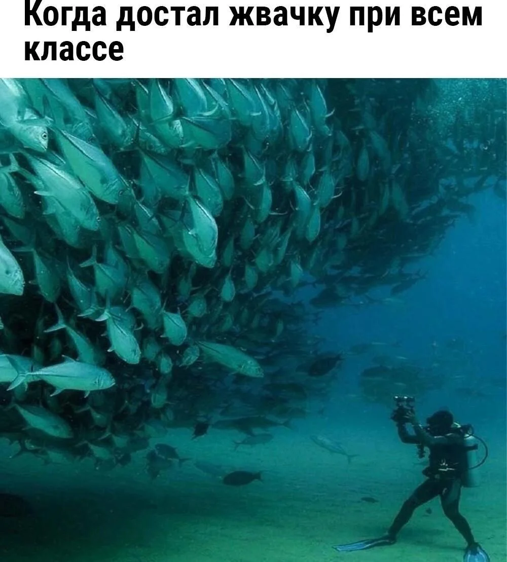 Жвачка, которая нас объединяет: смешные мемы Жвачка, которая нас объединяет: смешные мемы мемы, жвачка, юмор, картинки, смешное, жевательная резинка