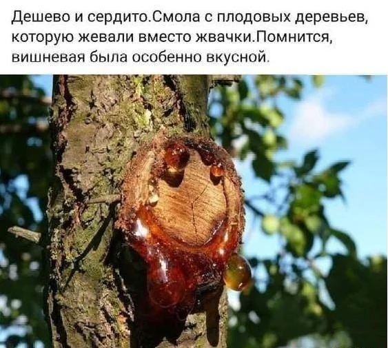 Жвачка, которая нас объединяет: смешные мемы Жвачка, которая нас объединяет: смешные мемы мемы, жвачка, юмор, картинки, смешное, жевательная резинка