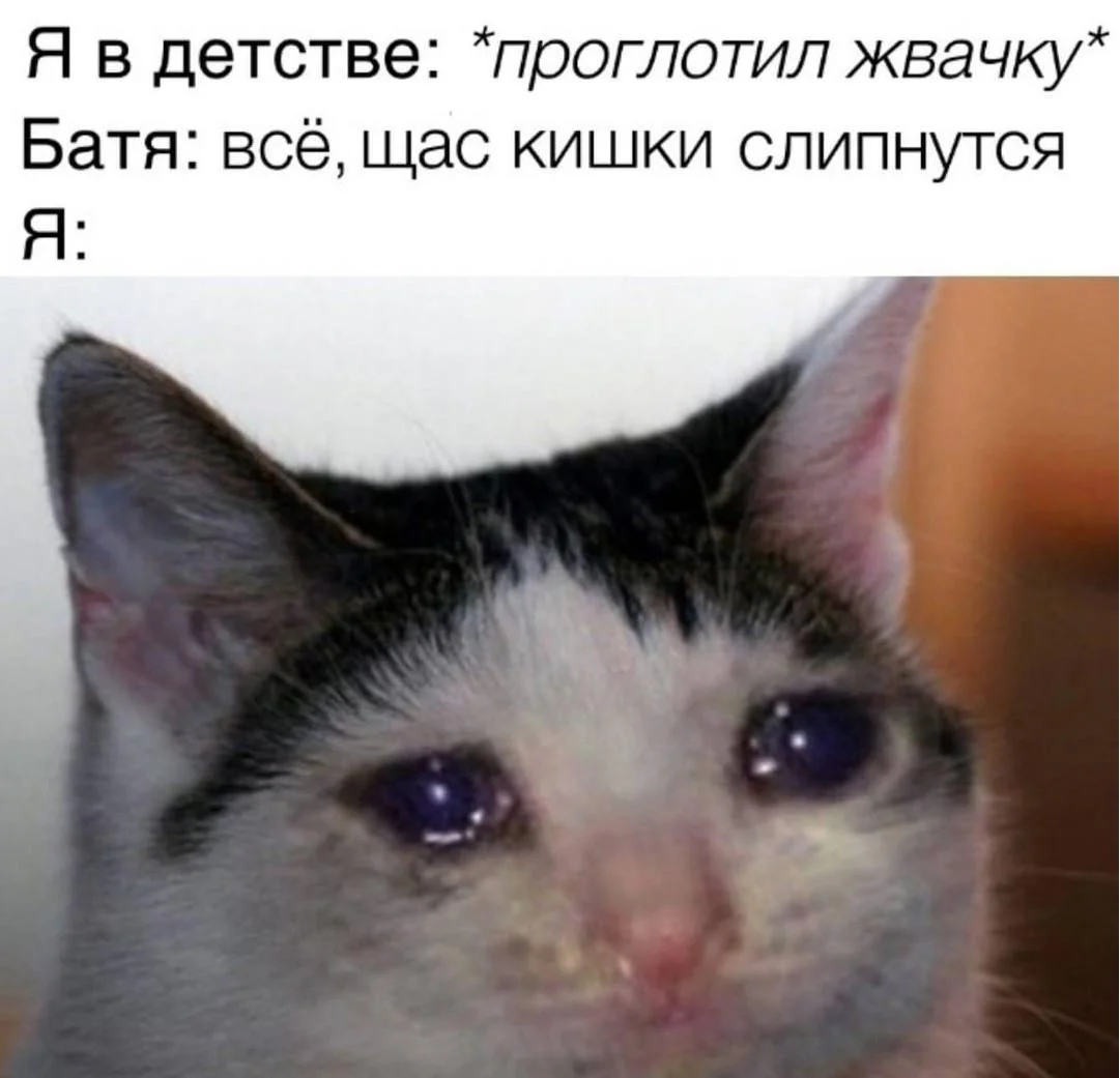 Жвачка, которая нас объединяет: смешные мемы Жвачка, которая нас объединяет: смешные мемы мемы, жвачка, юмор, картинки, смешное, жевательная резинка