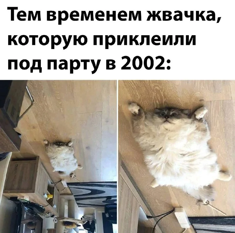Жвачка, которая нас объединяет: смешные мемы Жвачка, которая нас объединяет: смешные мемы мемы, жвачка, юмор, картинки, смешное, жевательная резинка