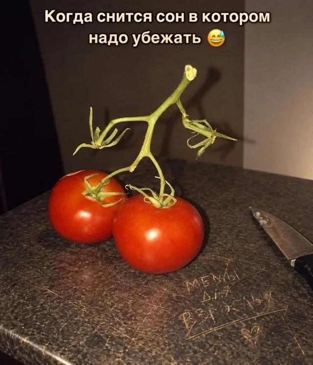 Мемы на утро: зайчики, шуба и бегство во сне мемы, юмор, картинки, приколы, подборка