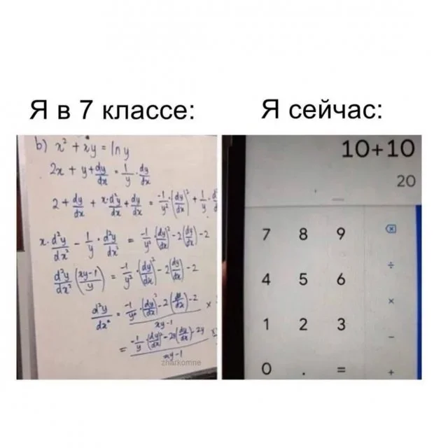 Мемы на утро: зайчики, шуба и бегство во сне мемы, юмор, картинки, приколы, подборка
