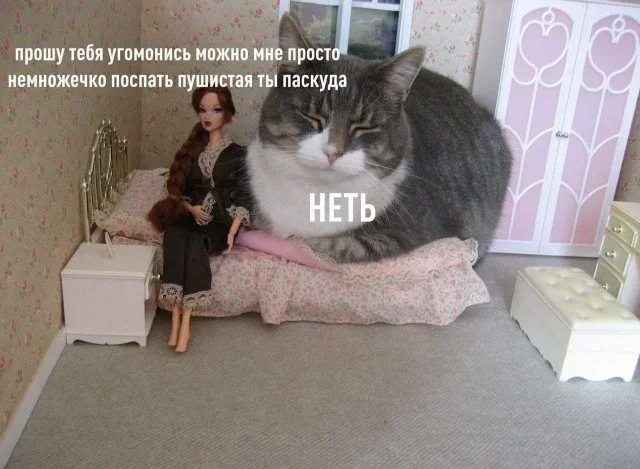 Мемы на утро: зайчики, шуба и бегство во сне мемы, юмор, картинки, приколы, подборка