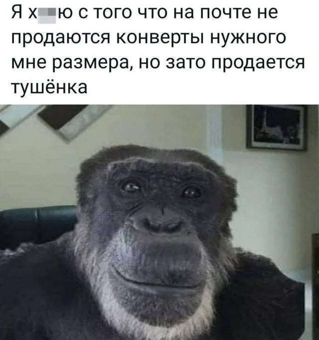 Смешные картинки для перерыва Смешные картинки для перерыва мемы, юмор, картинки, приколы