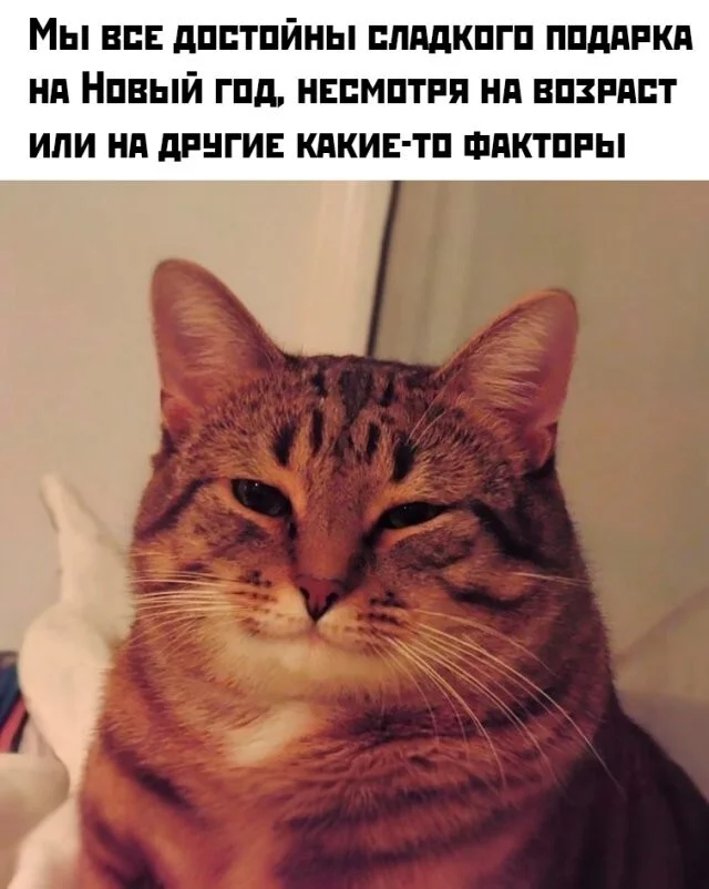 Смешные картинки для перерыва Смешные картинки для перерыва мемы, юмор, картинки, приколы