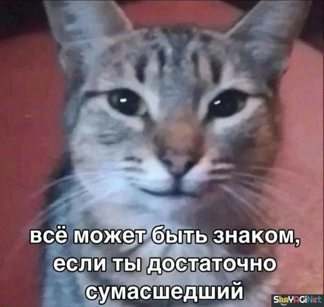 Оторопь берет: эти фразы про тебя цитаты, приколы, картинки, юмор, подборка