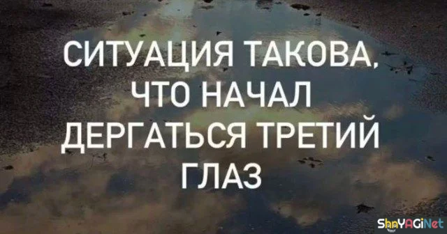Оторопь берет: эти фразы про тебя цитаты, приколы, картинки, юмор, подборка