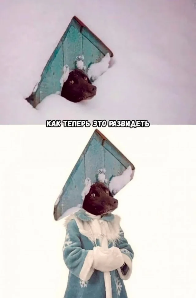 Мемы, которые заставят улыбнуться мемы, юмор, картинки, позитив