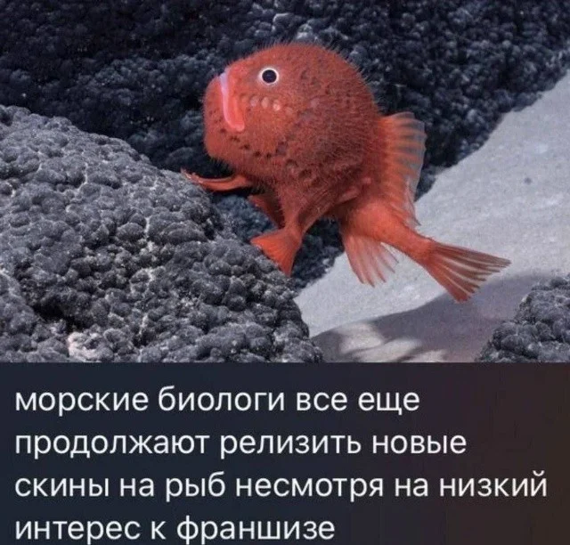 Мемы, которые заставят улыбнуться мемы, юмор, картинки, позитив