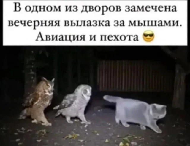 Мемы, которые заставят улыбнуться мемы, юмор, картинки, позитив