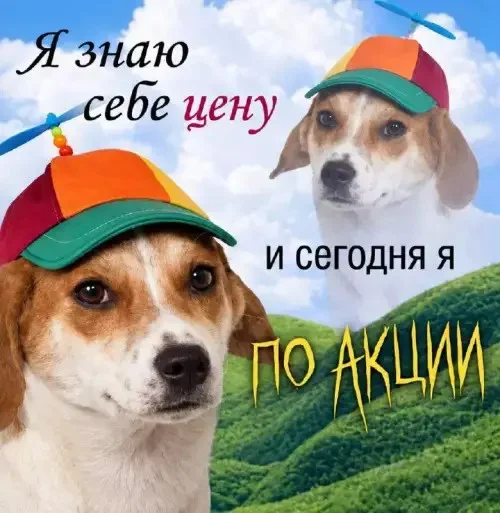 Мемы, которые заставят улыбнуться мемы, юмор, картинки, позитив