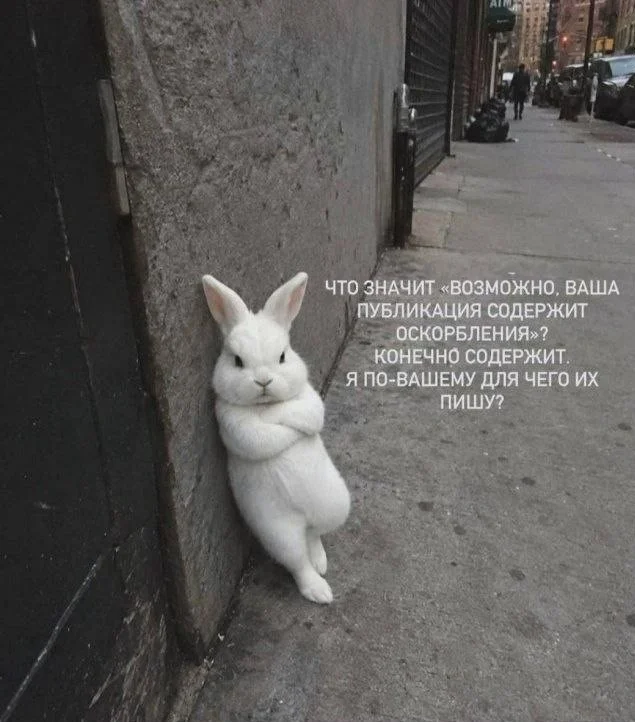 Мемы, которые заставят улыбнуться мемы, юмор, картинки, позитив