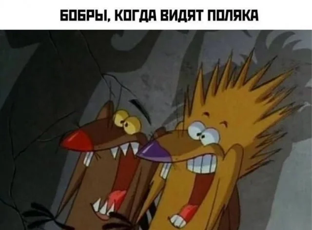 Мемы, которые заставят улыбнуться мемы, юмор, картинки, позитив