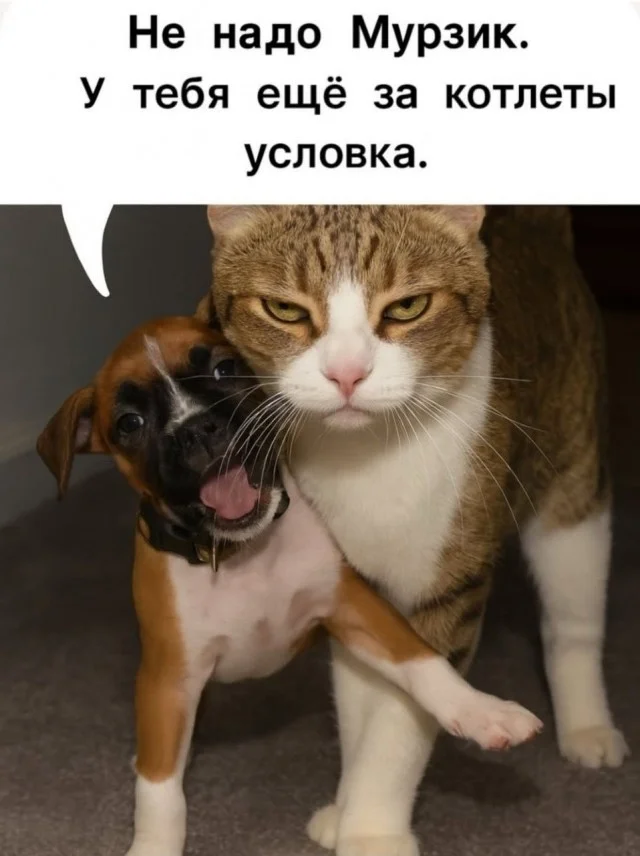 Мемы, которые заставят улыбнуться мемы, юмор, картинки, позитив