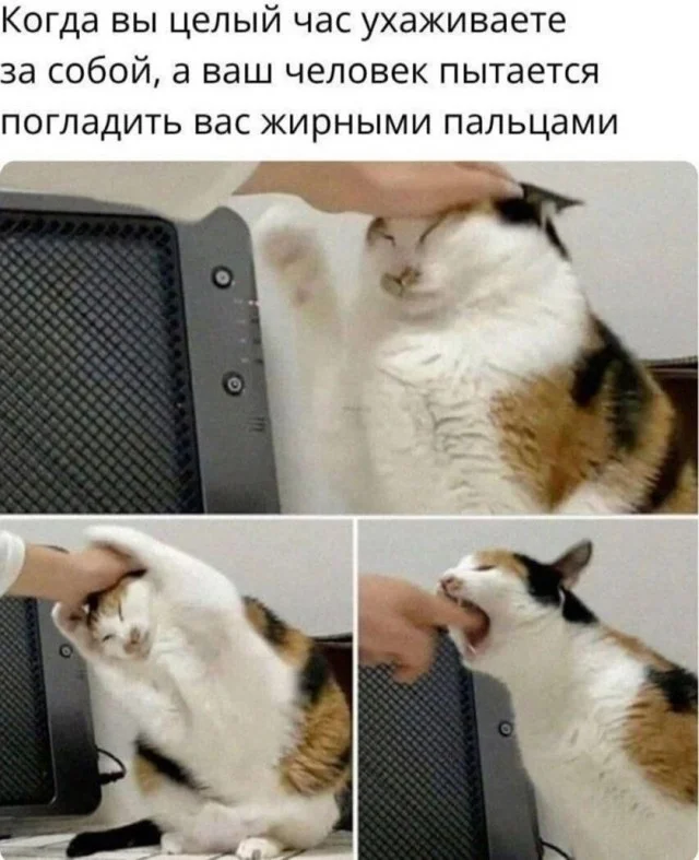 Мемы, которые заставят улыбнуться мемы, юмор, картинки, позитив