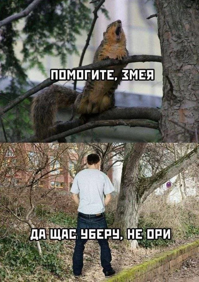 Смех как лекарство: подборка мемов, которая поднимет настроение Смех как лекарство: подборка мемов, которая поднимет настроение мемы, юмор, приколы, подборка, позитив, картинки