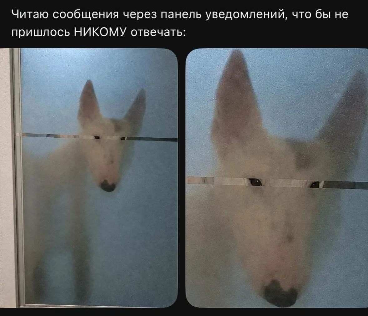 Смех как лекарство: подборка мемов, которая поднимет настроение Смех как лекарство: подборка мемов, которая поднимет настроение мемы, юмор, приколы, подборка, позитив, картинки