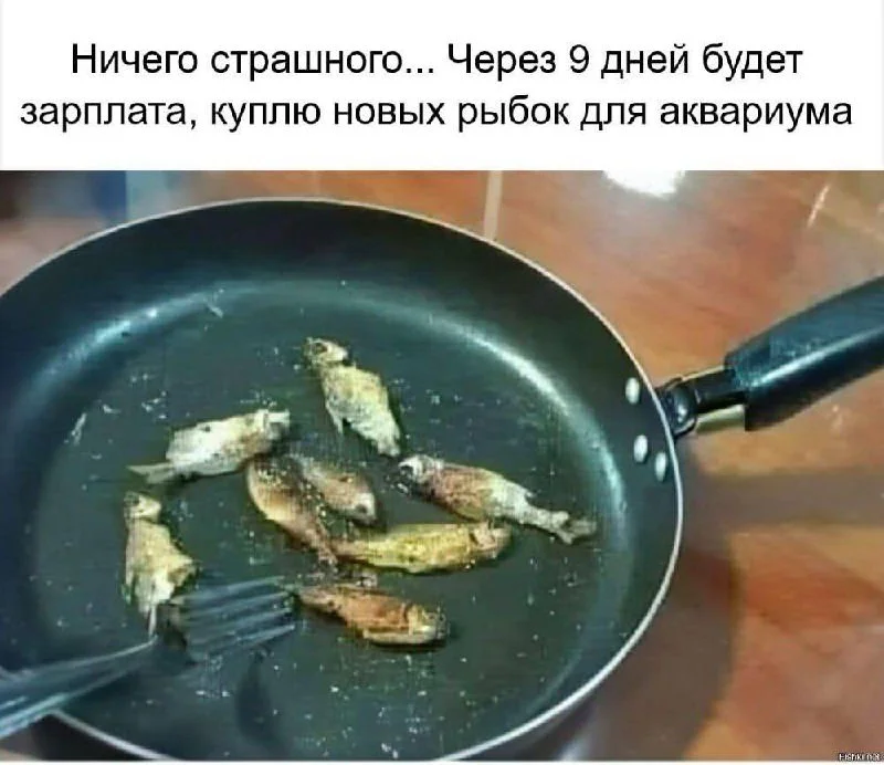 Смех как лекарство: подборка мемов, которая поднимет настроение Смех как лекарство: подборка мемов, которая поднимет настроение мемы, юмор, приколы, подборка, позитив, картинки