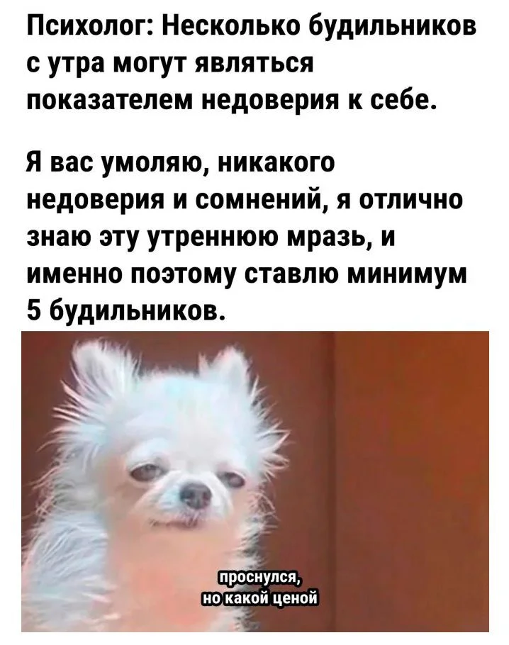 Смех как лекарство: подборка мемов, которая поднимет настроение Смех как лекарство: подборка мемов, которая поднимет настроение мемы, юмор, приколы, подборка, позитив, картинки
