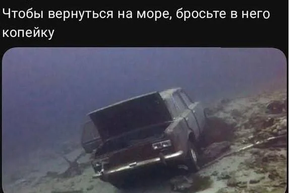 Соленый юмор: уморительные мемы про море мемы, море, юмор, приколы, картинки, подборка