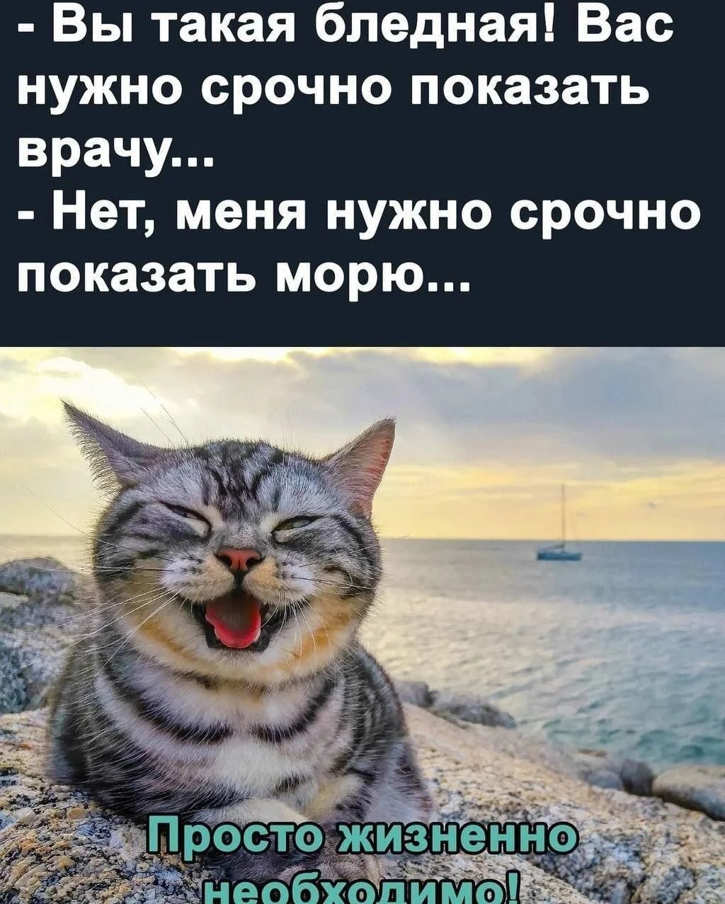 Соленый юмор: уморительные мемы про море мемы, море, юмор, приколы, картинки, подборка