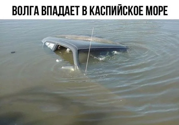Соленый юмор: уморительные мемы про море мемы, море, юмор, приколы, картинки, подборка