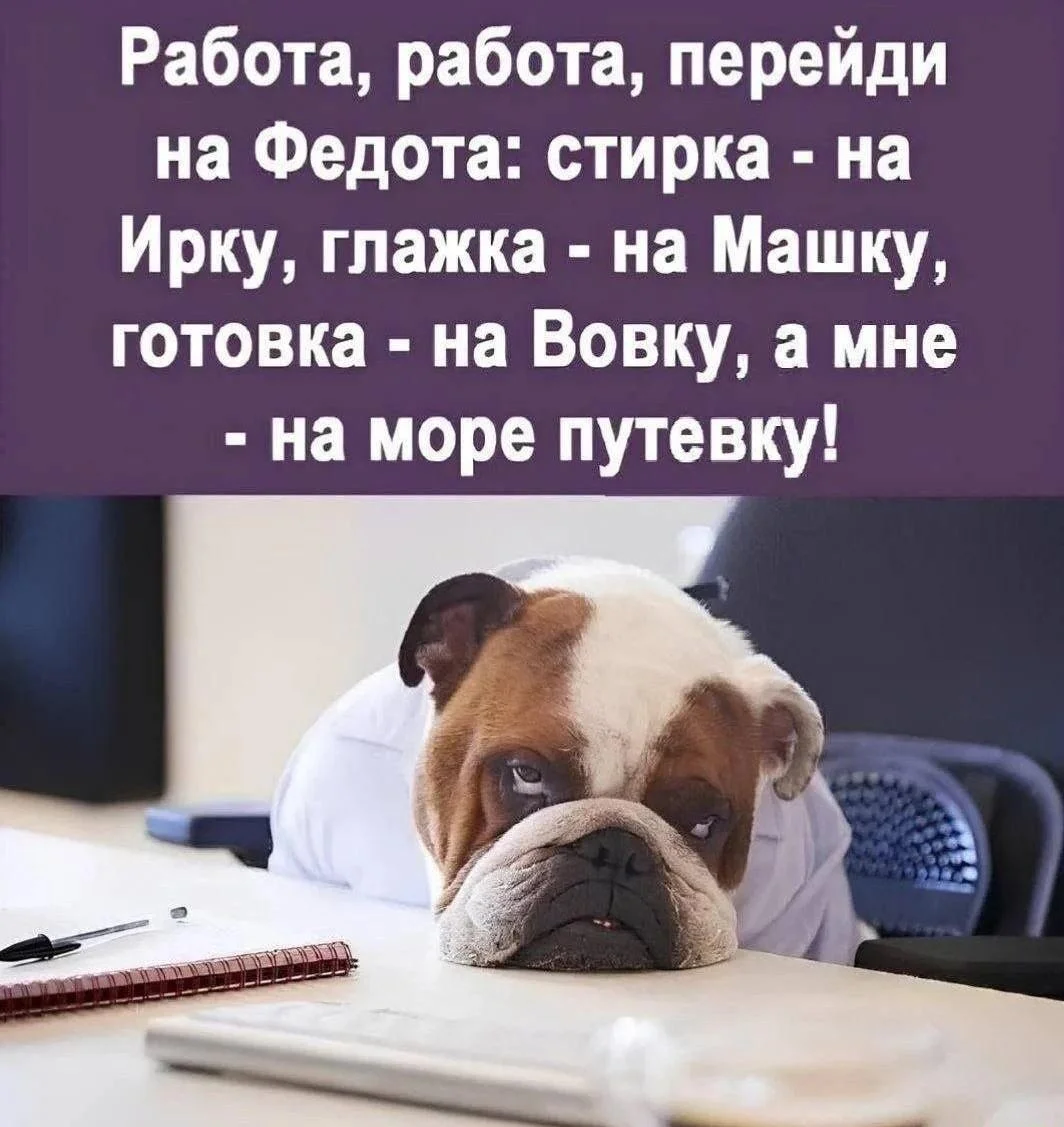 Соленый юмор: уморительные мемы про море мемы, море, юмор, приколы, картинки, подборка