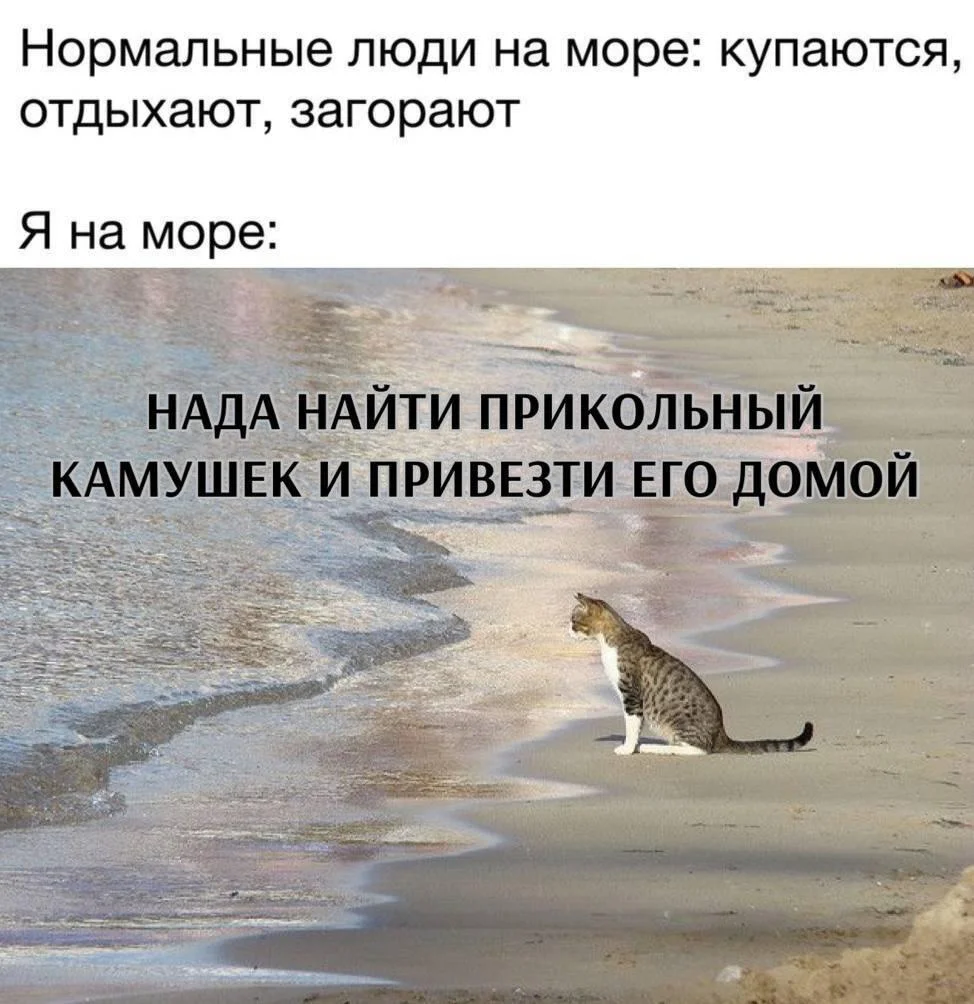 Соленый юмор: уморительные мемы про море мемы, море, юмор, приколы, картинки, подборка
