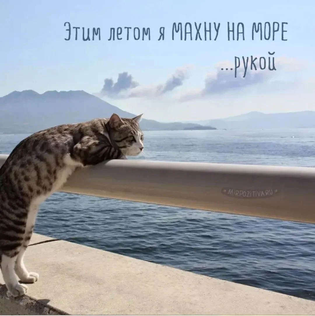 Соленый юмор: уморительные мемы про море мемы, море, юмор, приколы, картинки, подборка