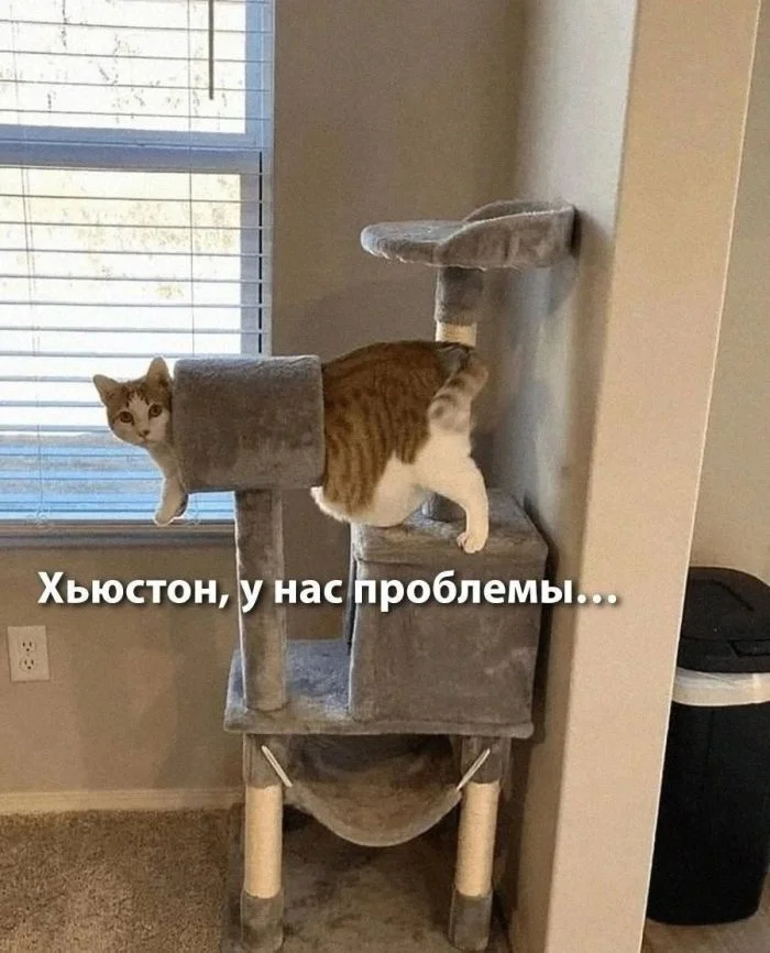 Пятница пришла: мемы для перезагрузки мемы, пятница, юмор, картинки, шутки