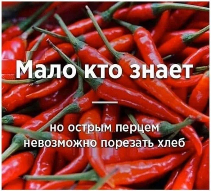 Пятница пришла: мемы для перезагрузки мемы, пятница, юмор, картинки, шутки