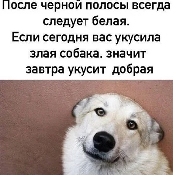 Шутки, после которых невозможно удержаться от смеха анекдоты, юмор, шутки, приколы, смешное