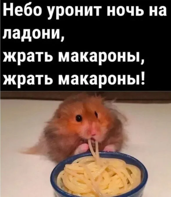 Шутки, после которых невозможно удержаться от смеха анекдоты, юмор, шутки, приколы, смешное