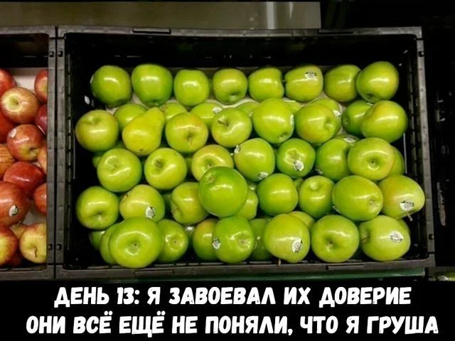 Груша — царица полей! Мемы, от которых живот надорвешь Груша — царица полей! Мемы, от которых живот надорвешь мемы, груши, юмор, картинки, приколы, день груши